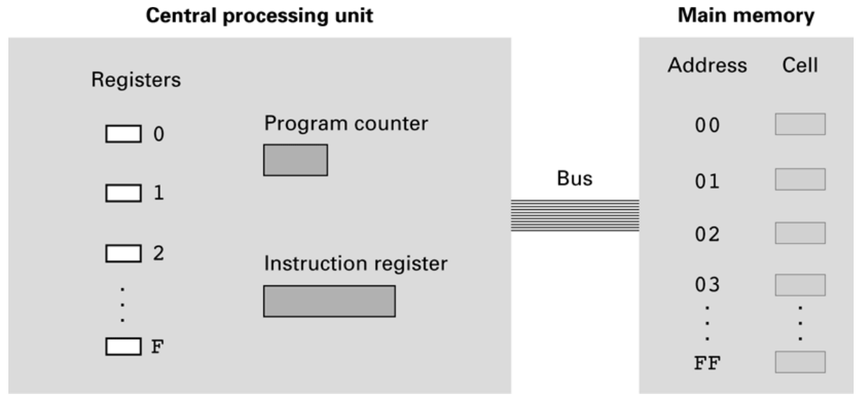 General registers, the program counter, the instruction register and addressed memory have different roles.