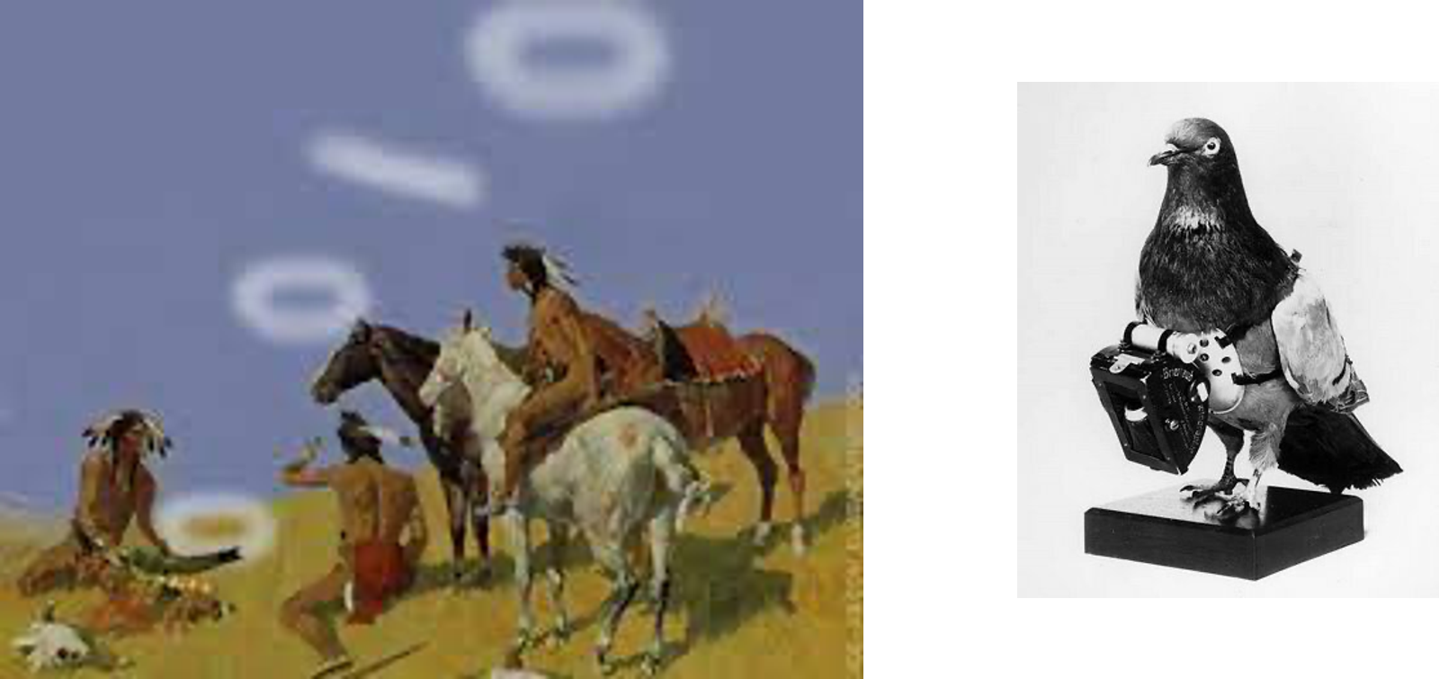 Historical communication illustrations from the instructor’s source. They suggest different carriers; the pigeon photograph is not evidence of an ordinary message-delivery arrangement.