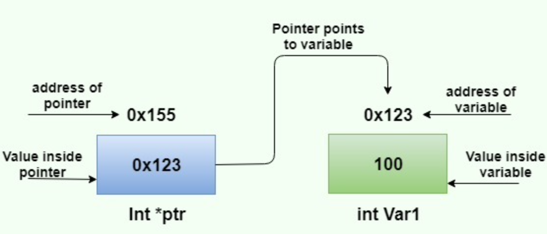Three quantities: the pointer’s own address, the address stored in it, and the value at the target. The hexadecimal labels are conceptual, not promised real memory locations or alignment.