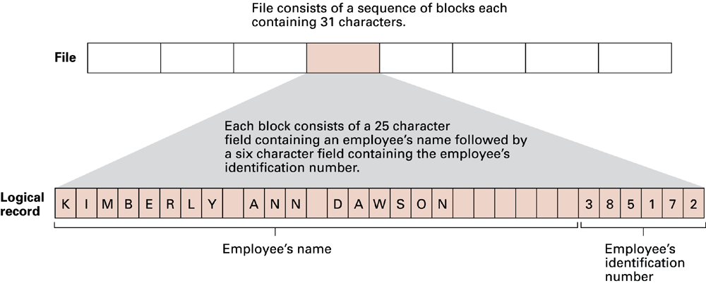 This historical format uses 25 character positions for a name and 6 for an ID. A format must define encoding and field limits.