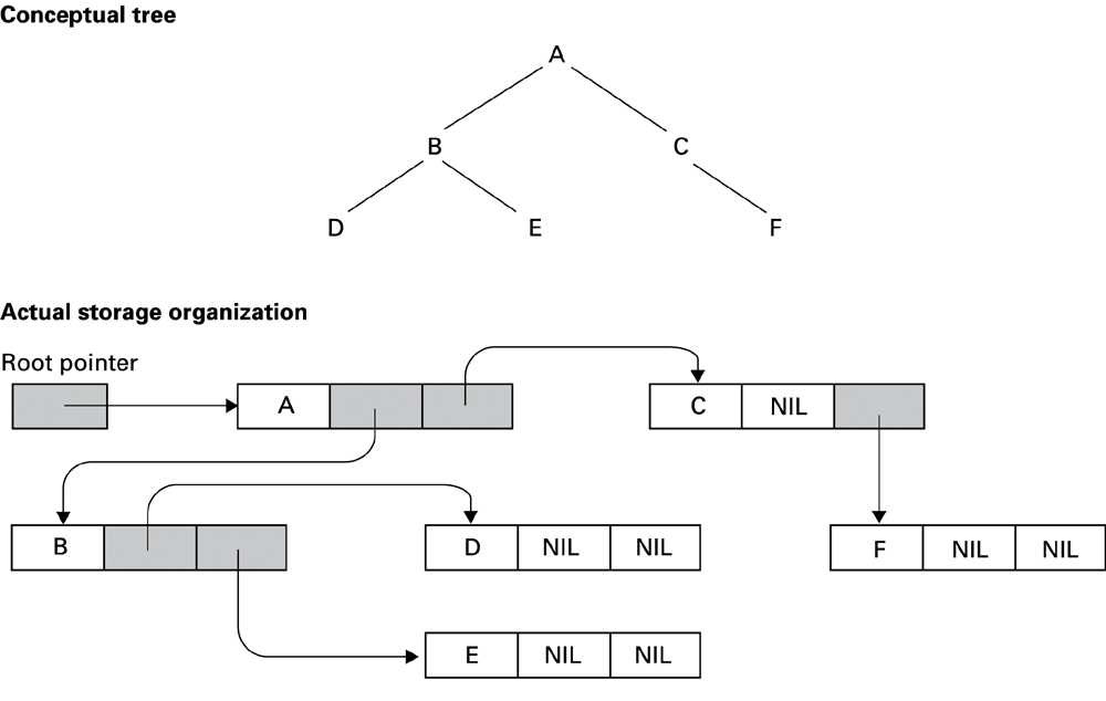 A binary-tree node can have left and right links. A linked list has one successor link.