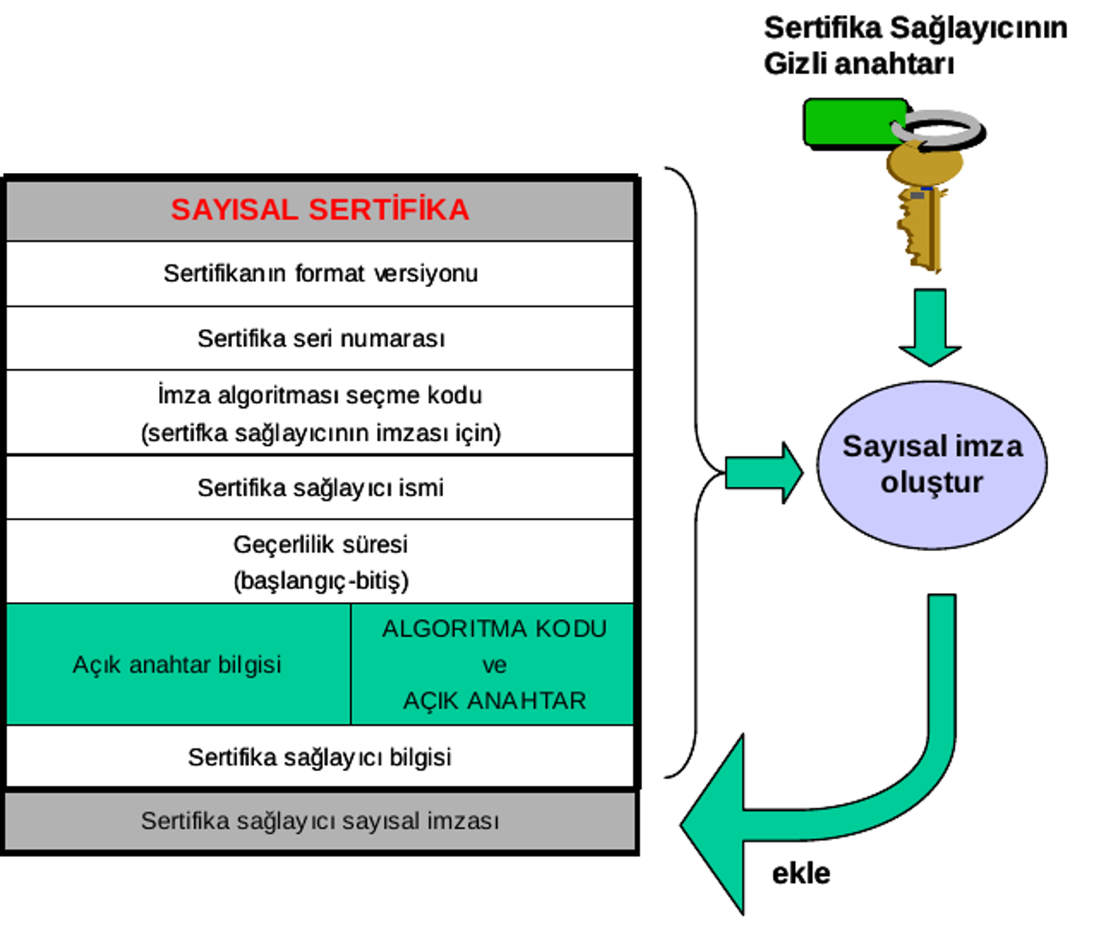 The issuer signs certificate data. The certificate contains the subject’s public key, never the subject’s private key.