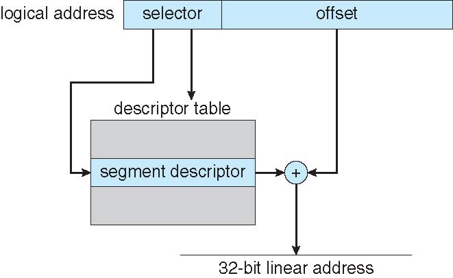 The selector identifies a descriptor. Its base and the offset form the linear address, subject to access and bounds checks.