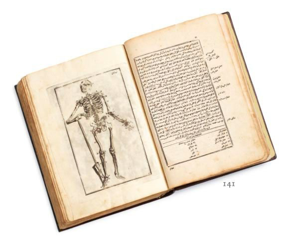 Anatomical illustration and explanatory text