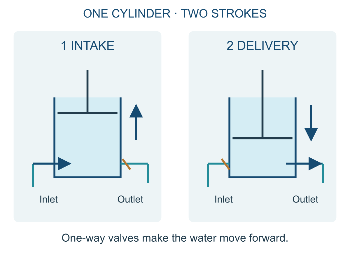 Two strokes of a reciprocating pump. On intake, the inlet opens and the outlet closes; on delivery, their roles reverse. Conceptual diagram of one cylinder.